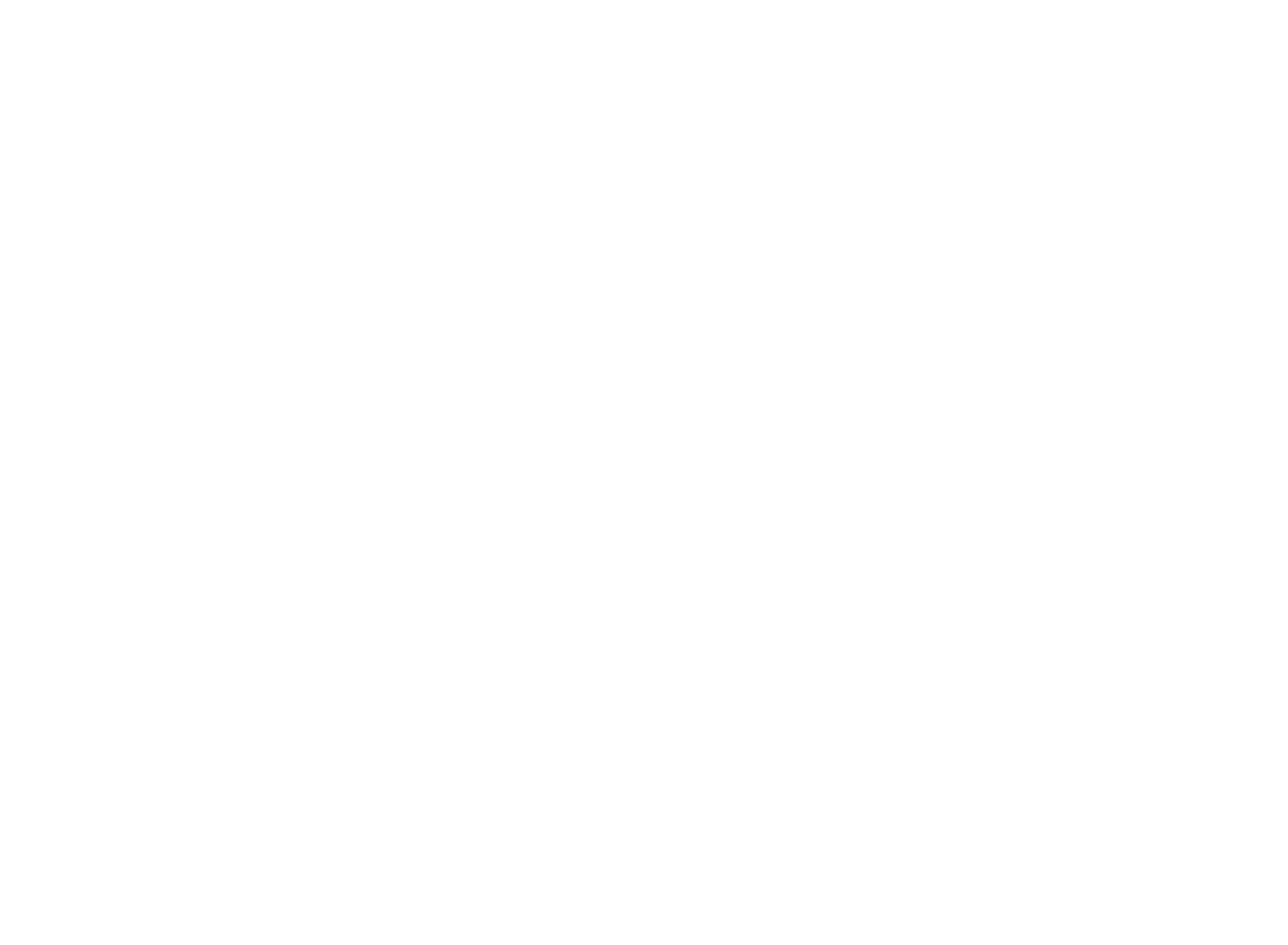 PaintDrew - Branding & Grafisch Ontwerper